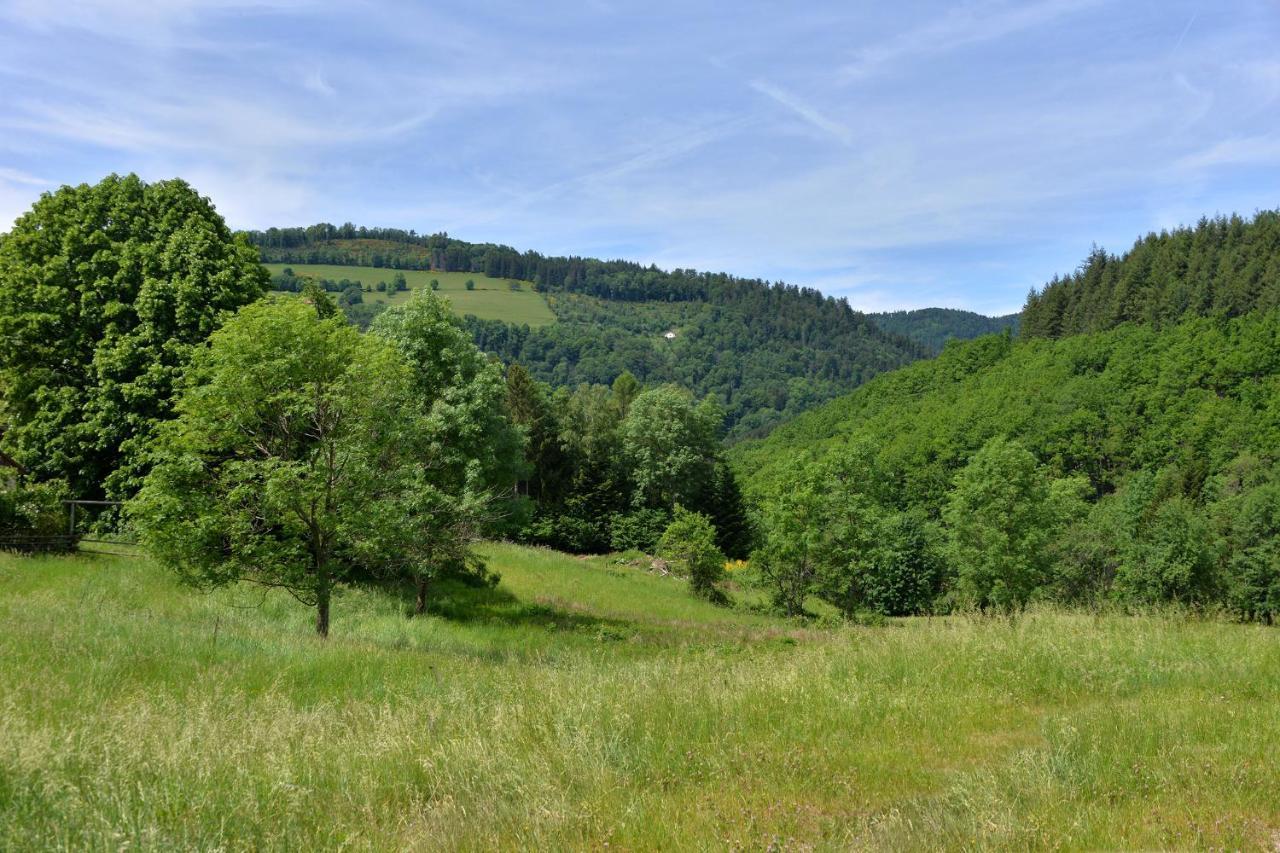 Gite De La Chapelle Des Mineurs Sainte-Marie-aux-Mines Eksteriør bilde